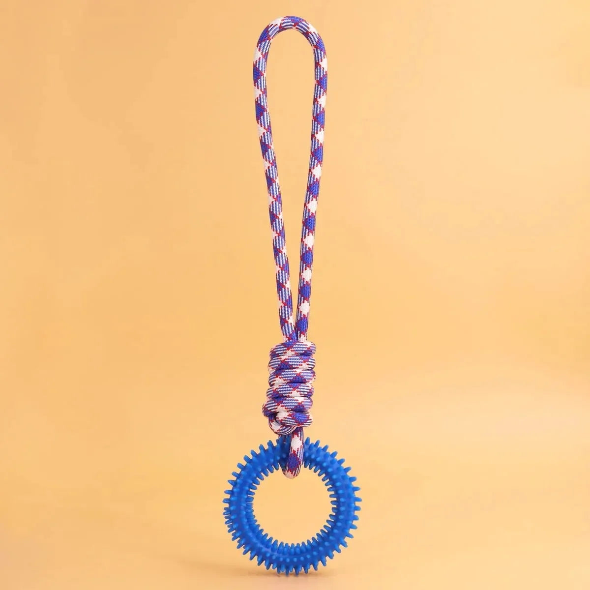 Interactive Pet Toy Ring