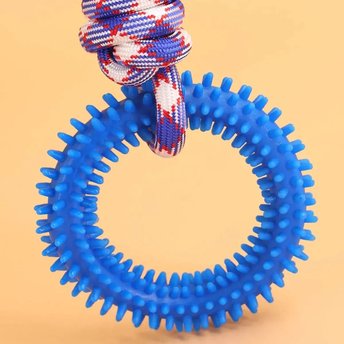 Interactive Pet Toy Ring