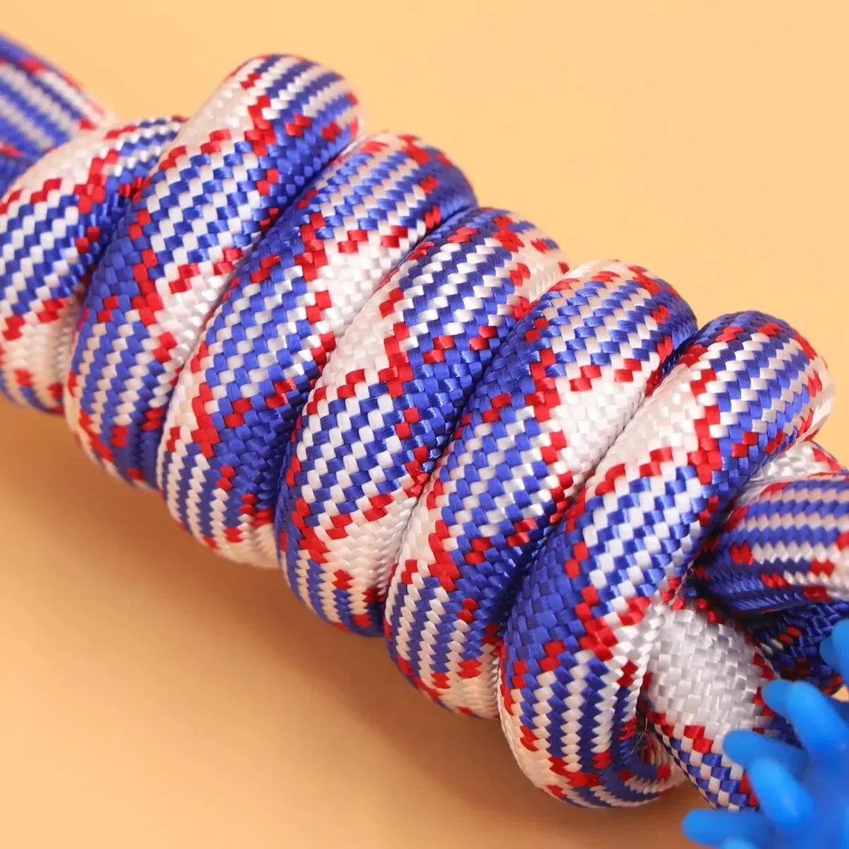 Interactive Pet Toy Ring