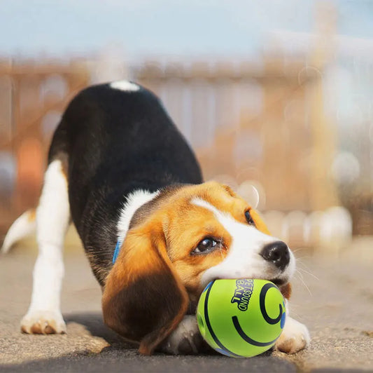 Giggling Glow Ball for Dogs