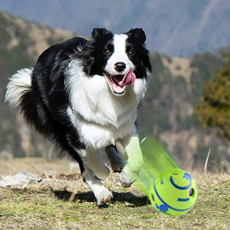 Giggling Glow Ball for Dogs